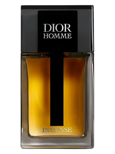 Dior Homme Intense 100 ML for men