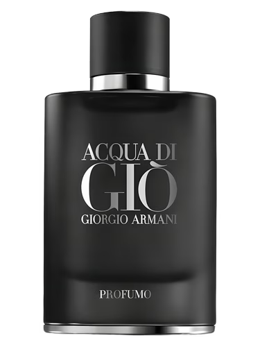 Acqua di Giò Profumo 100ML Giorgio Armani for men